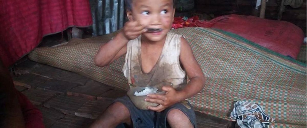 Gạo 3