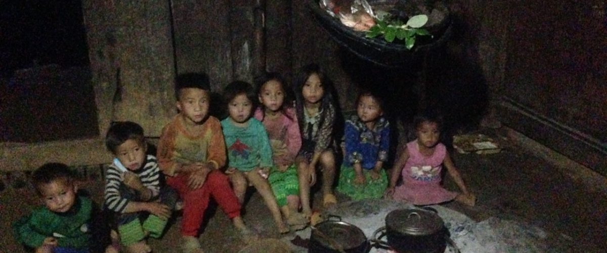Gạo